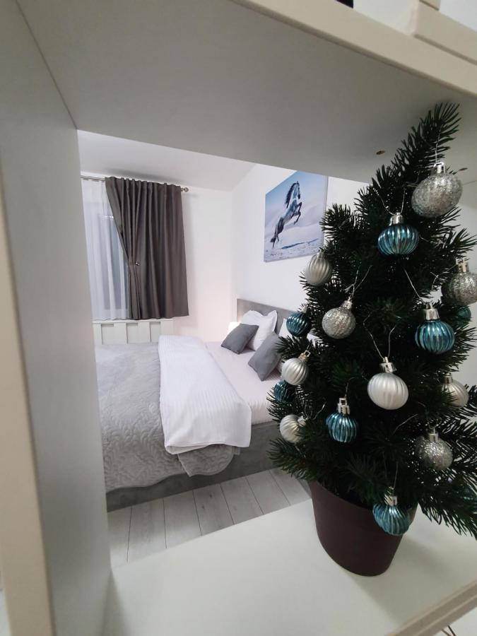 Fresh Mountain Brasov Apartment Екстериор снимка