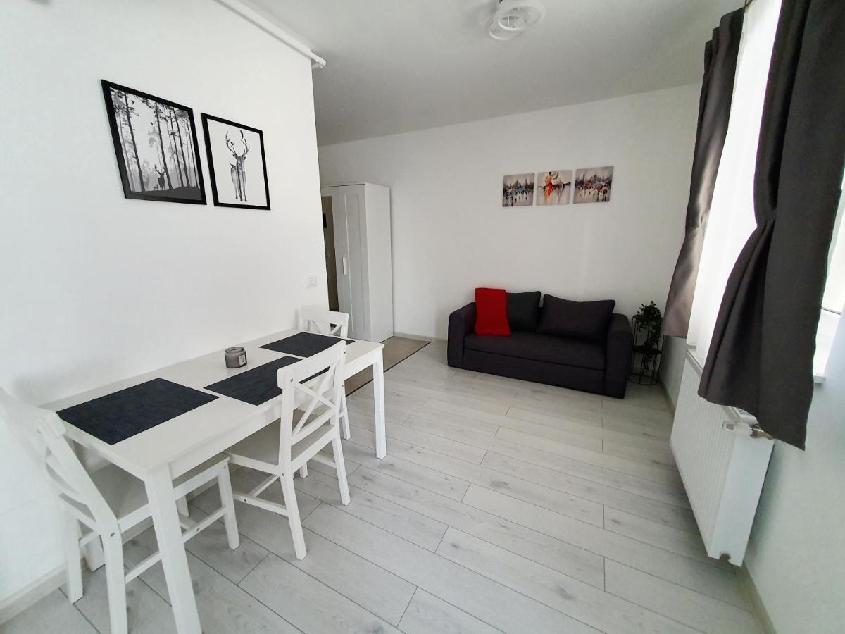 Fresh Mountain Brasov Apartment Екстериор снимка