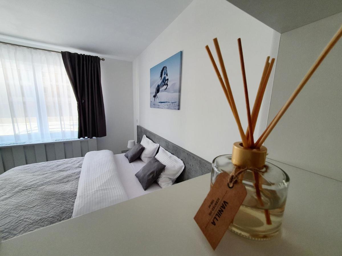Fresh Mountain Brasov Apartment Екстериор снимка