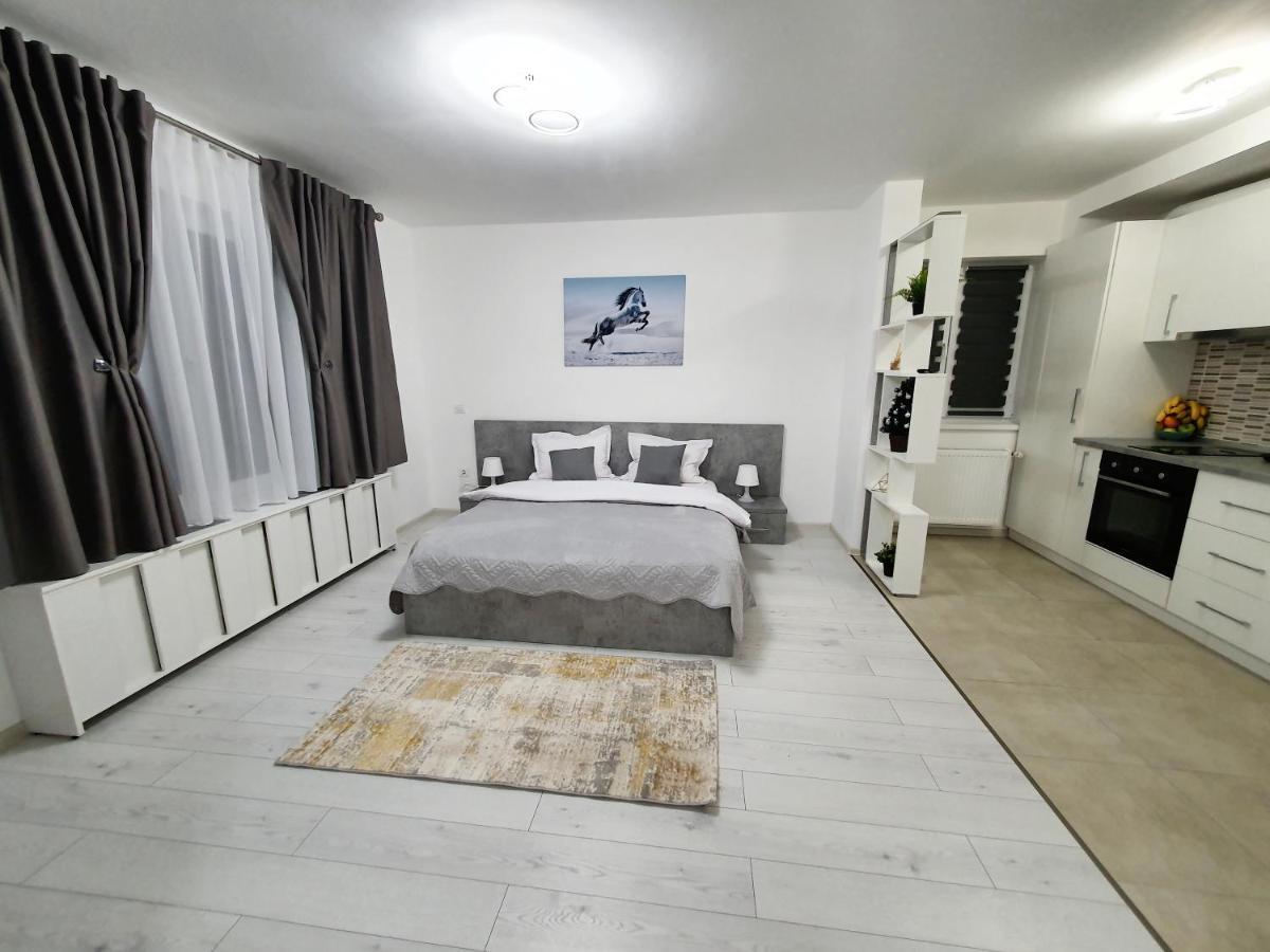 Fresh Mountain Brasov Apartment Екстериор снимка