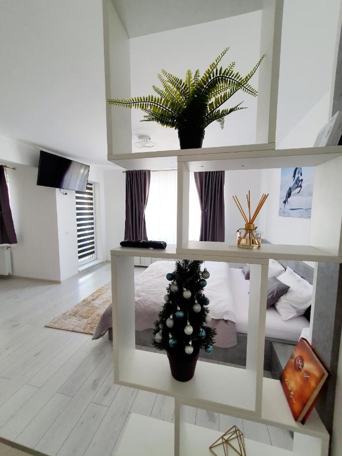 Fresh Mountain Brasov Apartment Екстериор снимка