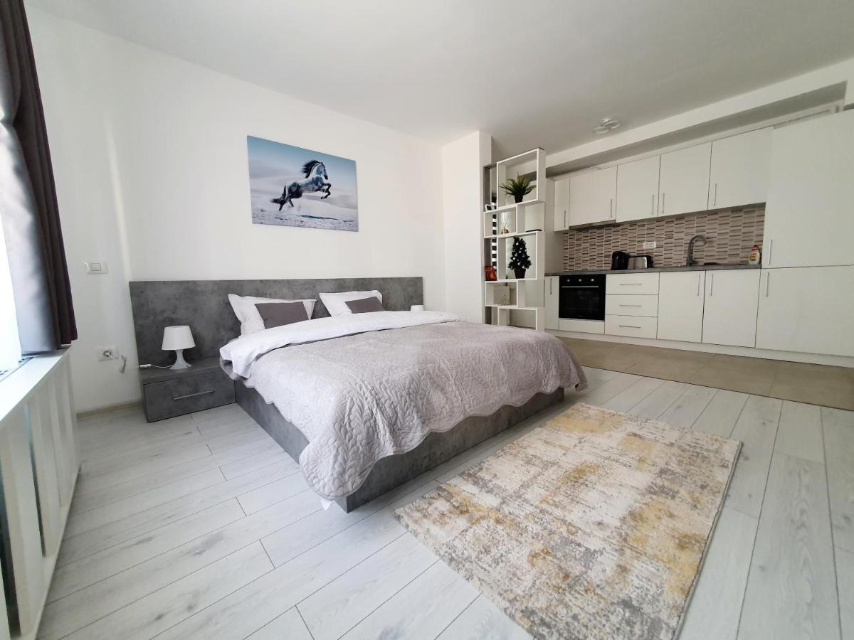 Fresh Mountain Brasov Apartment Екстериор снимка