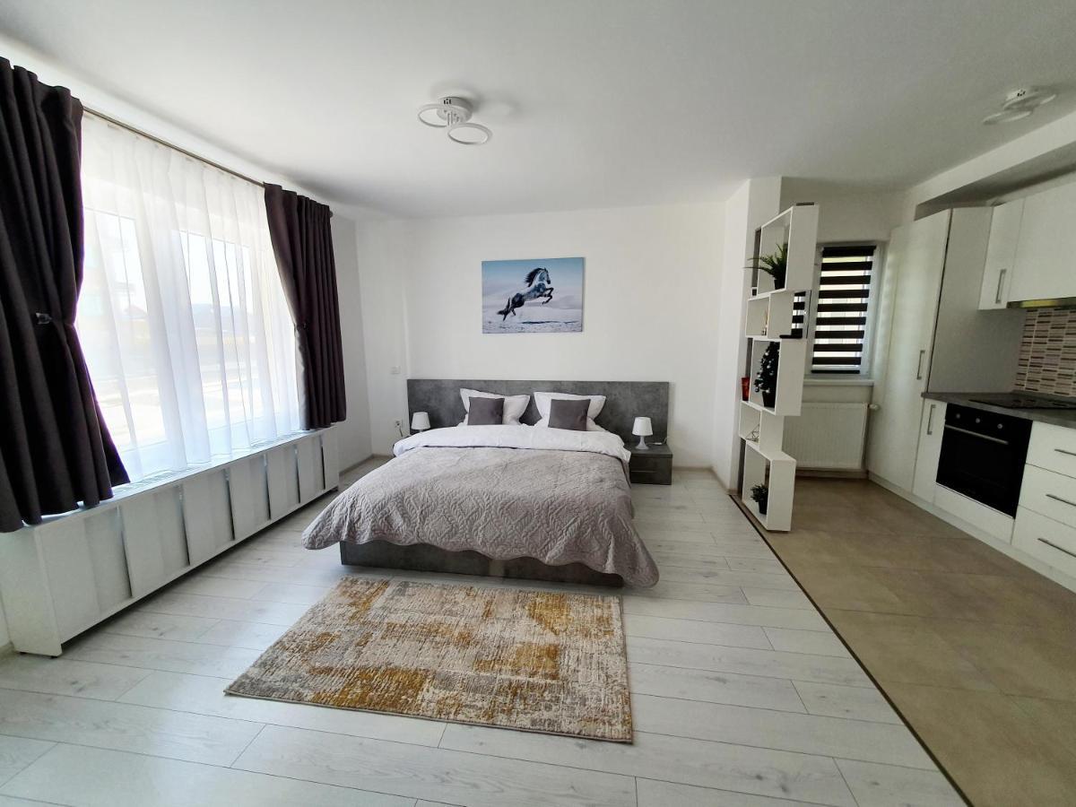 Fresh Mountain Brasov Apartment Екстериор снимка