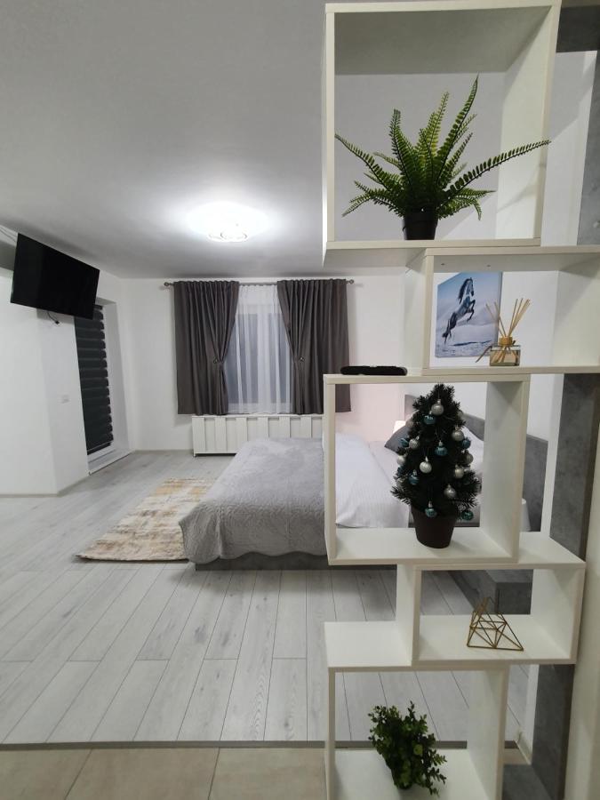 Fresh Mountain Brasov Apartment Екстериор снимка