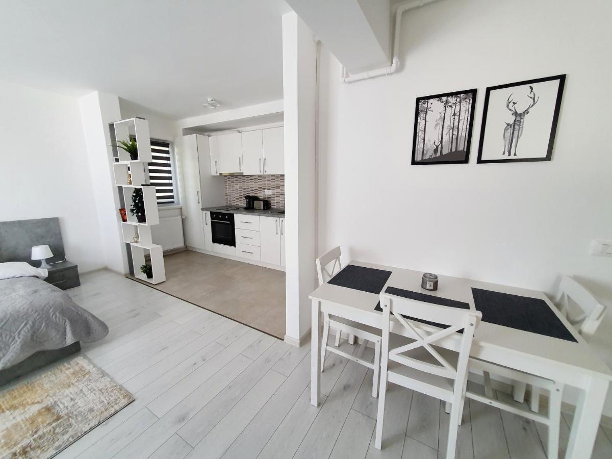 Fresh Mountain Brasov Apartment Екстериор снимка